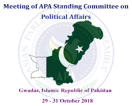 Meeting of APA Standing Committee on Political Affairs 2018